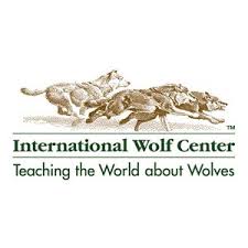I_Wolf_C.jpeg