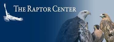 Raptor.jpeg