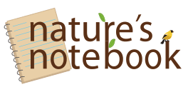 ezine/natures_notebook-tool_image_YGzHUn3.png