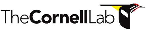 Cornell%2blab%2blogo.jpg