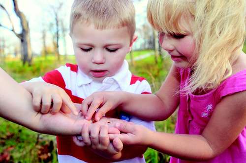 children-441895_1280.jpg