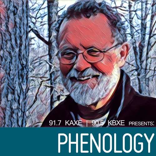 KAXE%2bPhenology.jpg