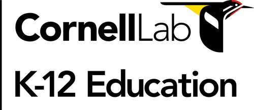 Cornell%2bLab%2bK-12%2bEd%2blogo.jpg